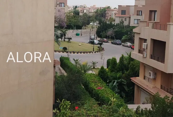 115166395 - صورة العقار 3