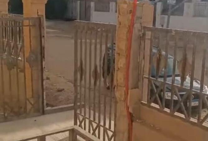 74316128 - صورة العقار 2
