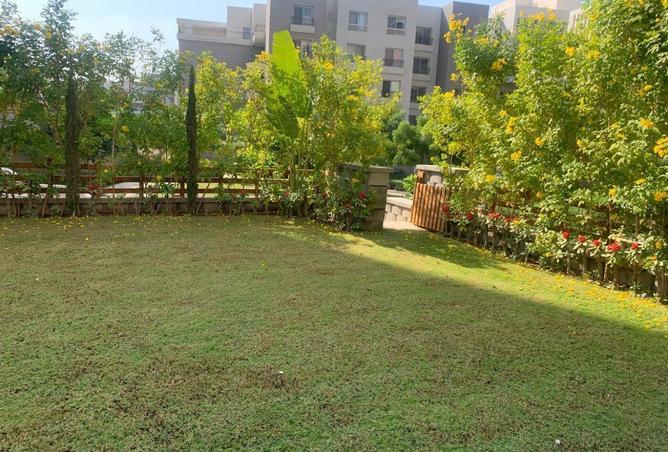 61694419 - Property Image 3