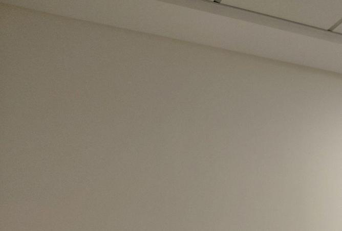 91006135 - Property Image 3