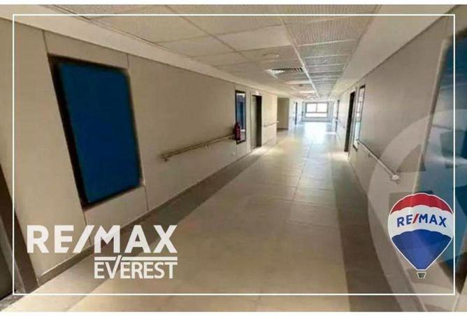 57491600 - Property Image 2