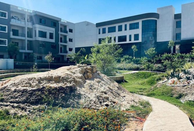 8629352 - Property Image 3