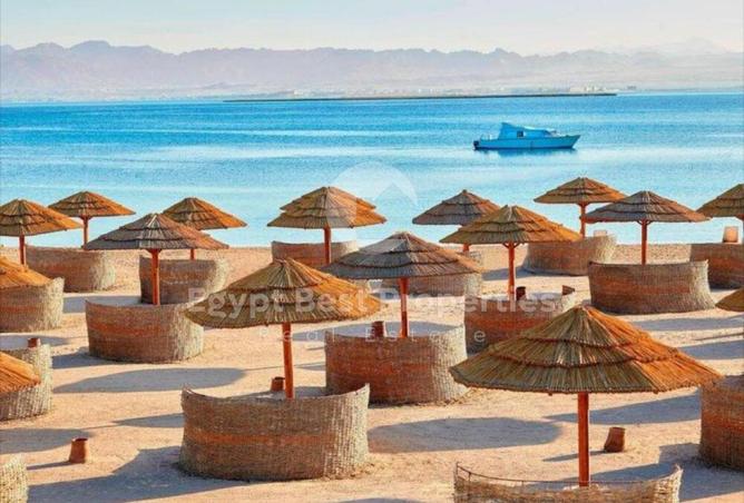 8527398 - Property Image 3