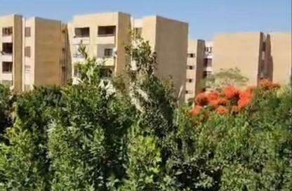 شقة - 2 غرف نوم - 1 حمام للبيع في المنطقة السادسة شرق - مدينة الشروق - القاهرة شقة - 2 غرف نوم - 1 حمام للبيع في المنطقة السادسة شرق - مدينة الشروق - القاهرة