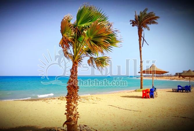 105166458 - صورة العقار 3
