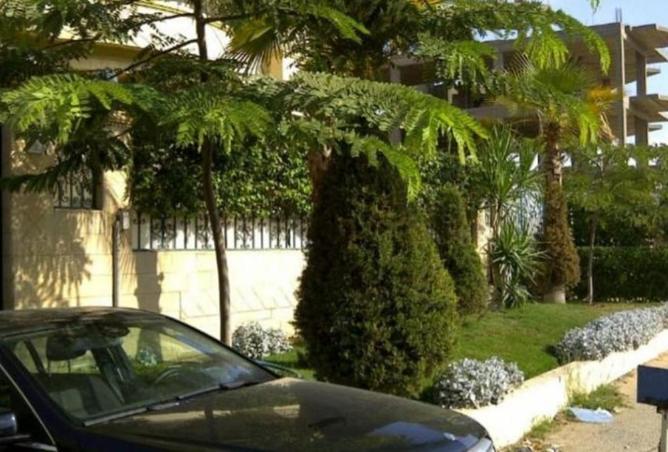 73773770 - صورة العقار 3