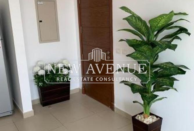 69567680 - صورة العقار 2