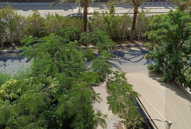 57245647 - Property Image 2