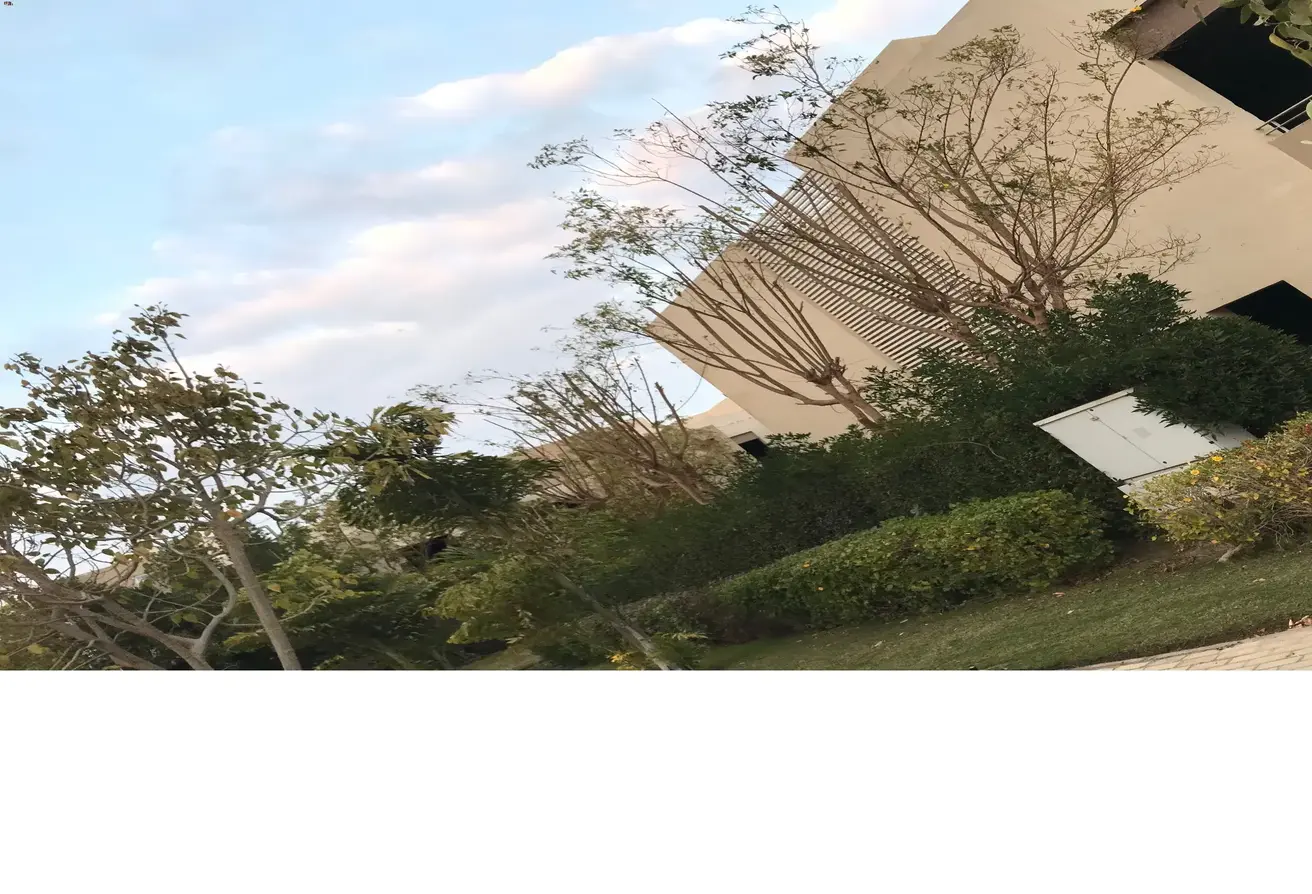 120355781 - الصورة الرئيسية للعقار
