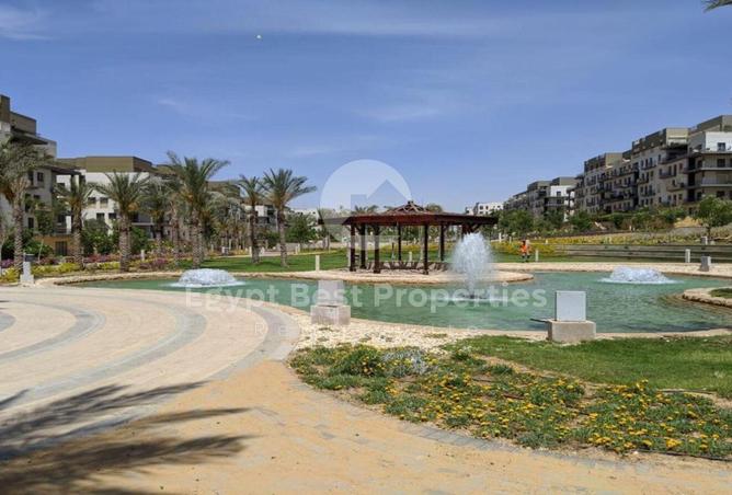 8586979 - Property Image 3