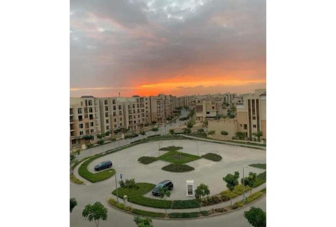 55993365 - صورة العقار 3