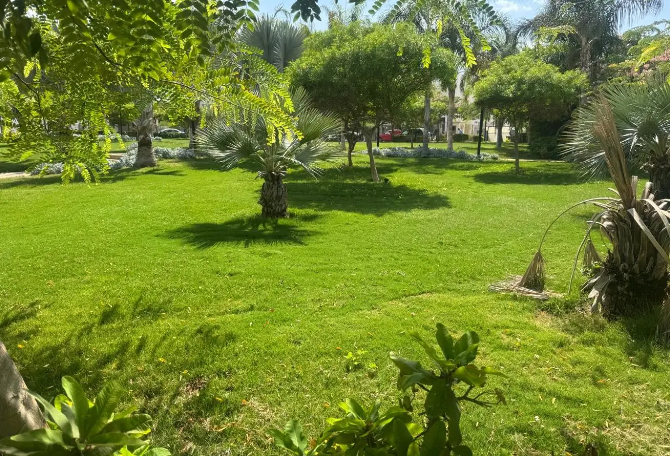 114355514 - الصورة الرئيسية للعقار