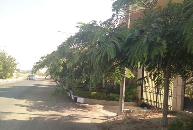 8567684 - الصورة الرئيسية للعقار