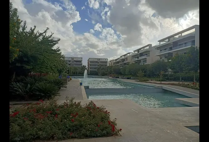 91568199 - صورة العقار 3