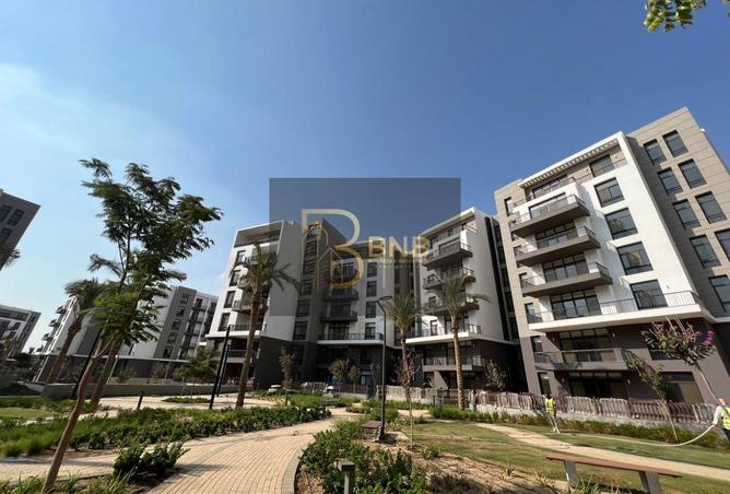 105162746 - Property Image 3