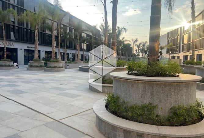 64906274 - Property Image 2