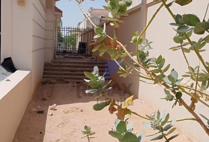 56247437 - Property Image 3