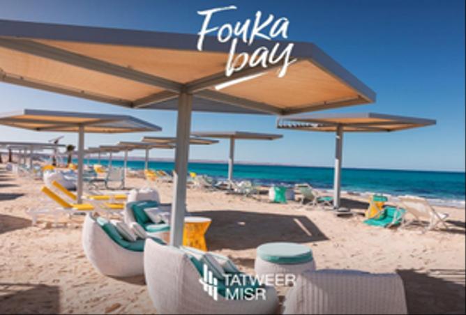 8715934 - صورة العقار 2