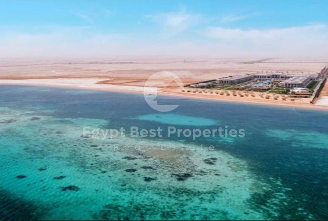 97440983 - صورة العقار 3