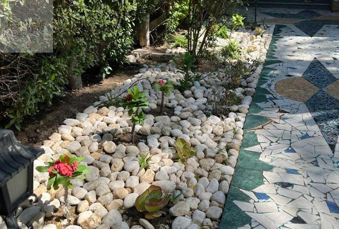 58495535 - صورة العقار 3