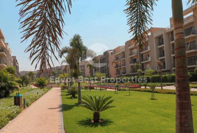 62408845 - Property Image 3