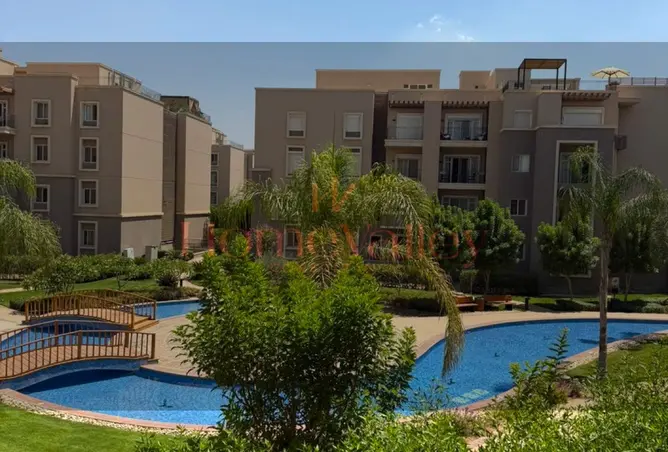 98553824 - Property Image 2