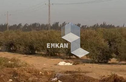 Land - Studio for sale in Samalout - Al Menya