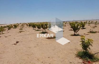 Land - Studio for sale in Samalout - Al Menya