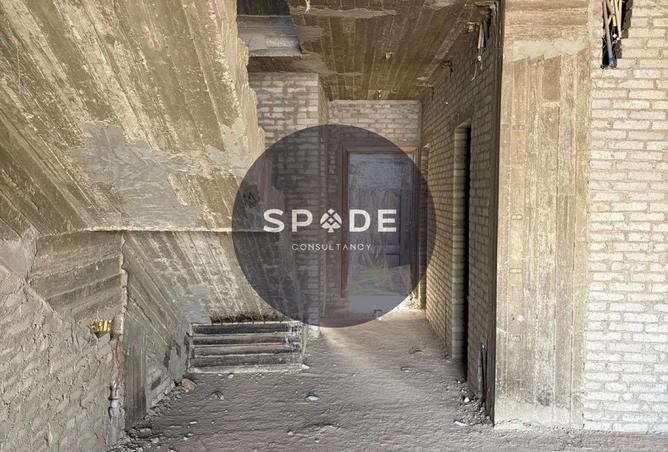 55512013 - Property Image 3