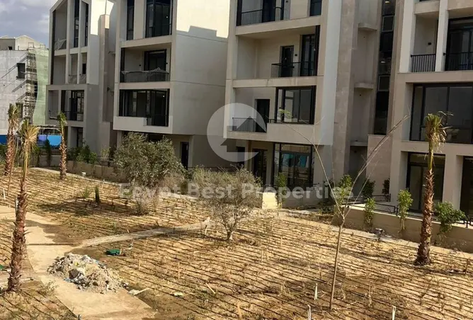 115455051 - Property Image 2