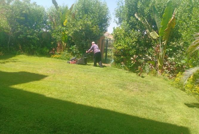 8437745 - صورة العقار 2