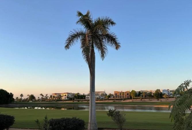 55007592 - صورة العقار 3