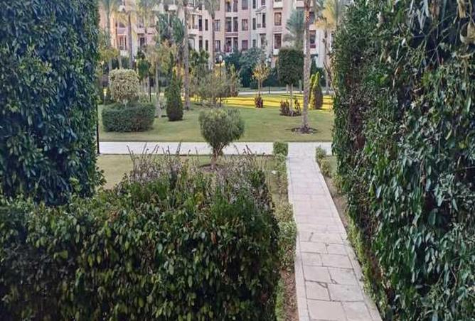 8583313 - Property Image 2