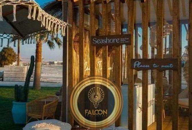 62166691 - صورة العقار 3