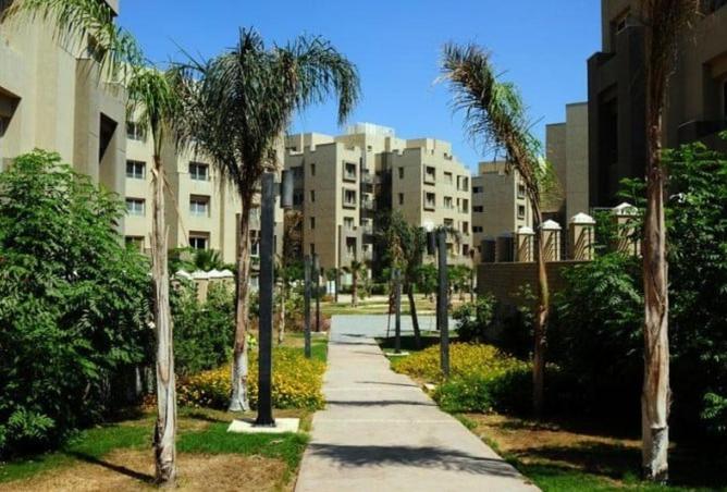 58999335 - صورة العقار 3