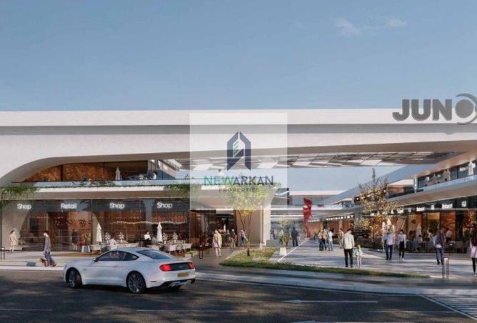 8522313 - Property Image 3