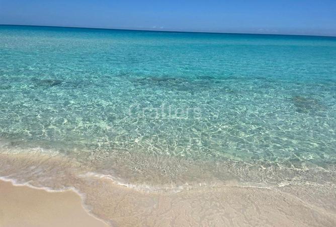 77597922 - صورة العقار 2