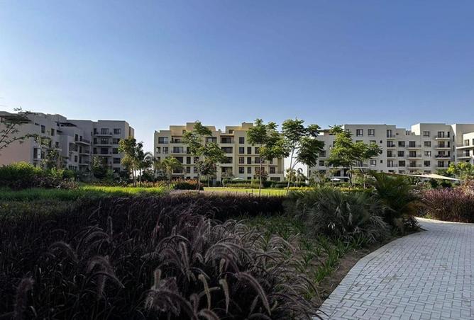 8644688 - Property Image 3