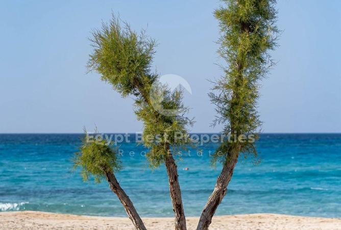 89249130 - Property Image 3