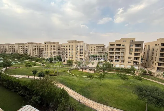 113257737 - Property Image 3