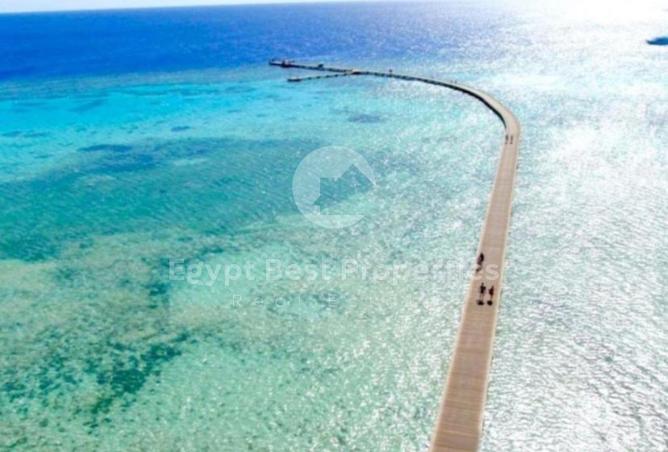 56247742 - صورة العقار 2