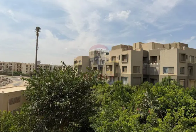 113822243 - صورة العقار 2