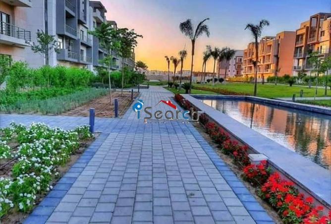 66427773 - Property Image 2