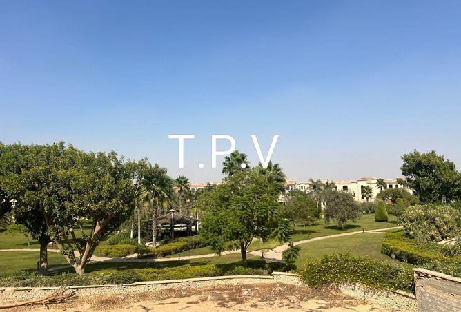 8596156 - Property Image 3