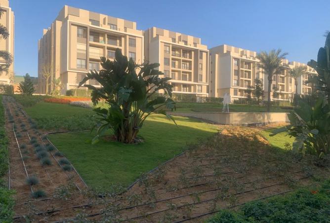 8497478 - صورة العقار 3