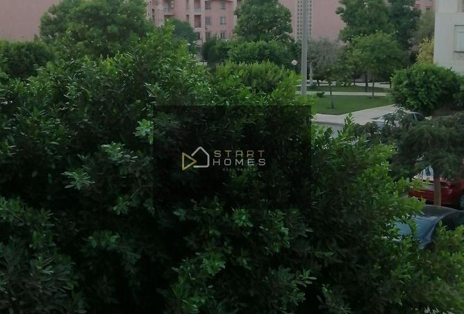 61691900 - Property Image 3