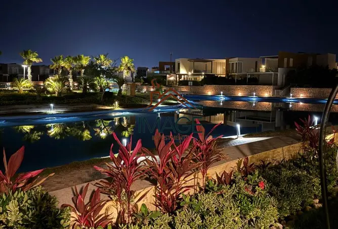 115719968 - Property Image 2