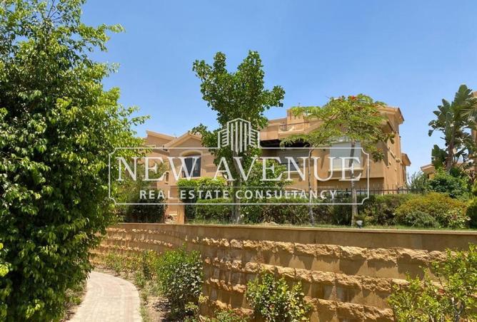 58987036 - Property Image 3