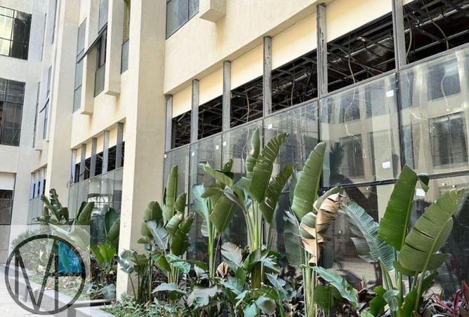 61687074 - Property Image 2