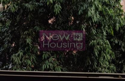 Apartment - 2 Bedrooms - 2 Bathrooms for sale in Zamalek - Cairo